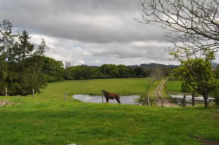 Fourth view of Homely rural property listing, 32 North Arm Road, Bowraville NSW 2449