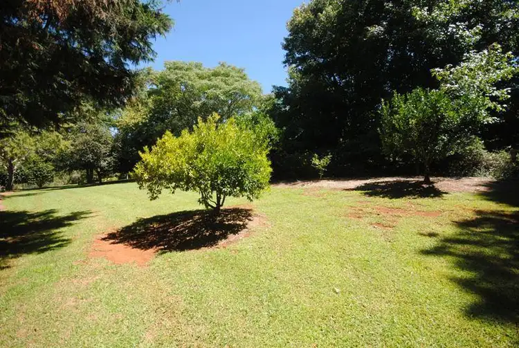 Seventh view of Homely house listing, 19 Elm Avenue, Dorrigo NSW 2453