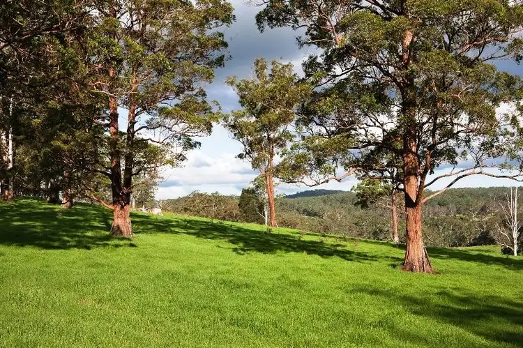 Fourth view of Homely rural property listing, Tyringham, Tyringham NSW 2453