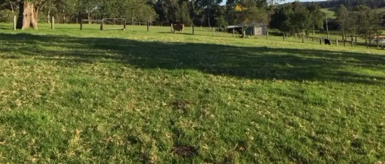 Seventh view of Homely other listing, 1A Cutharich  Place, Moruya NSW 2537