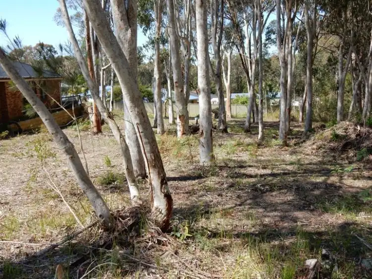 Third view of Homely land listing, 62 Government Road, Wyee Point NSW 2259