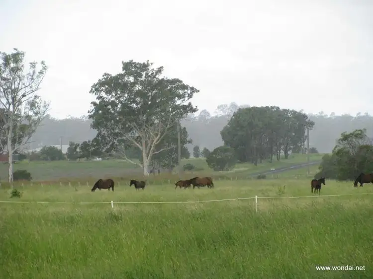Sixth view of Homely rural property listing, 409 Greenview Road, Wondai QLD 4606