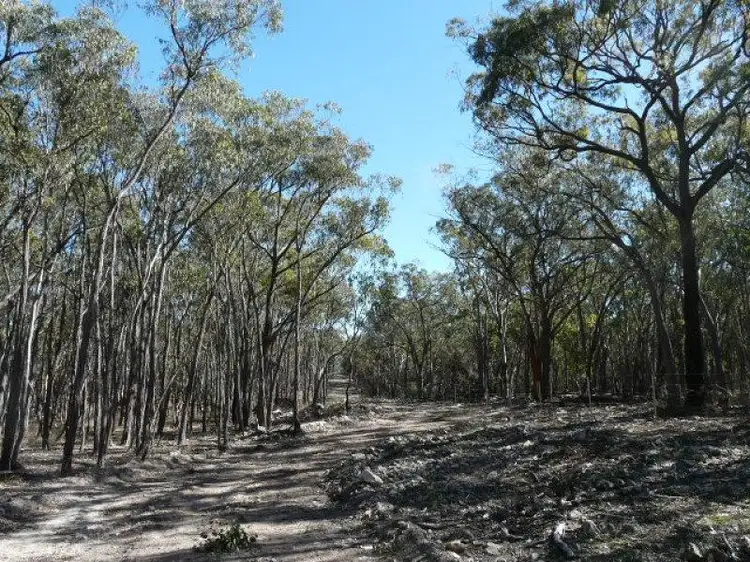 Fifth view of Homely rural property listing, 126 Bruxner Highway, Tenterfield NSW 2372