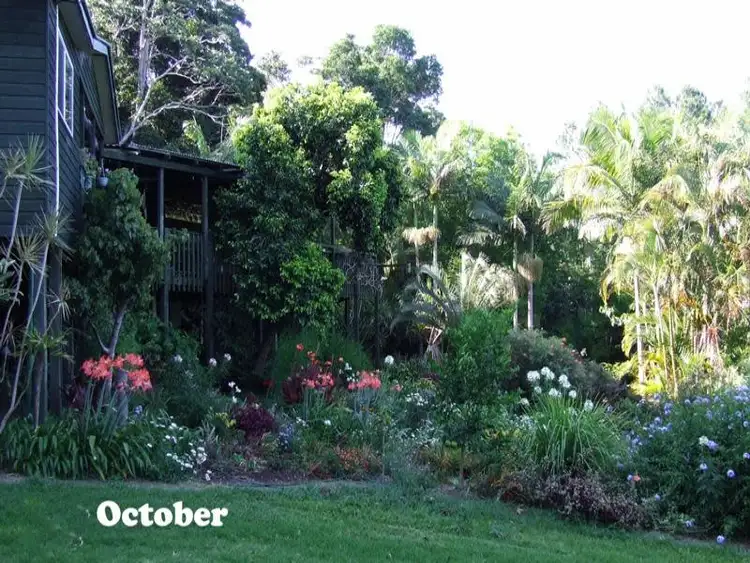 Fourth view of Homely house listing, 495 Humpty Back Road, Mcleans Ridges NSW 2480