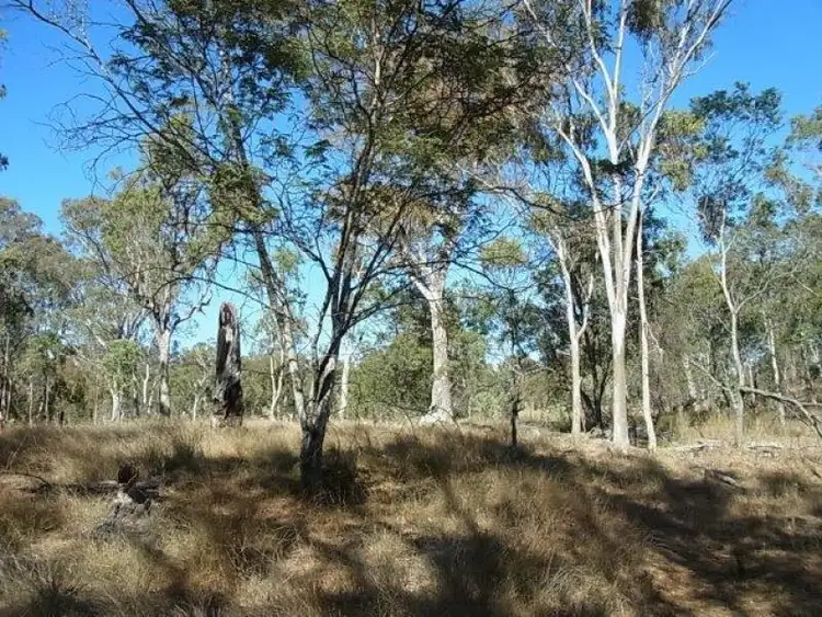 Seventh view of Homely rural property listing, 7008 Tralee  Road, Pratten QLD 4370