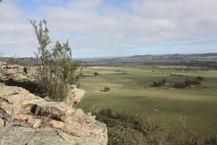 1690 Black Stump Way, Coolah NSW 2843