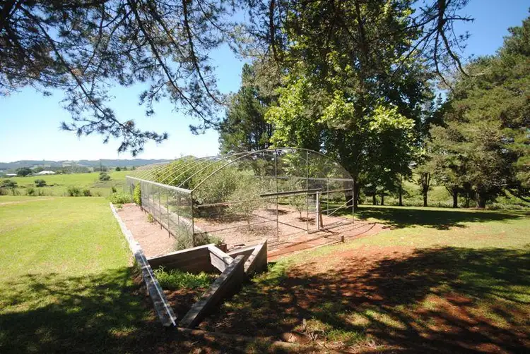 Fifth view of Homely house listing, 19 Elm Avenue, Dorrigo NSW 2453