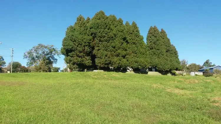 Second view of Homely land listing, 21 Acacia Street, Dorrigo NSW 2453