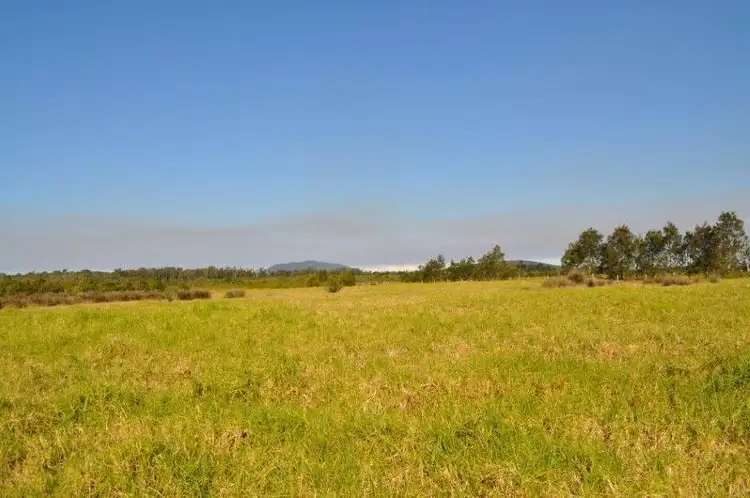 Fifth view of Homely rural property listing, The Palms Shark Island, Fishermans Reach NSW 2441