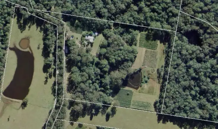 Seventh view of Homely rural property listing, 120 Browns Road, Yarrahapinni NSW 2441