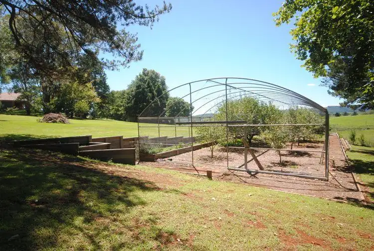 Sixth view of Homely house listing, 19 Elm Avenue, Dorrigo NSW 2453