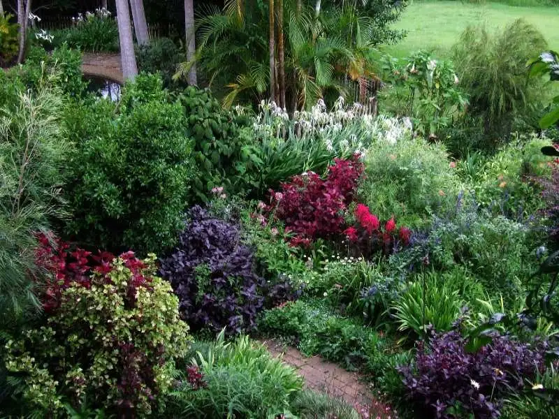 Main view of Homely house listing, 495 Humpty Back Road, Mcleans Ridges NSW 2480