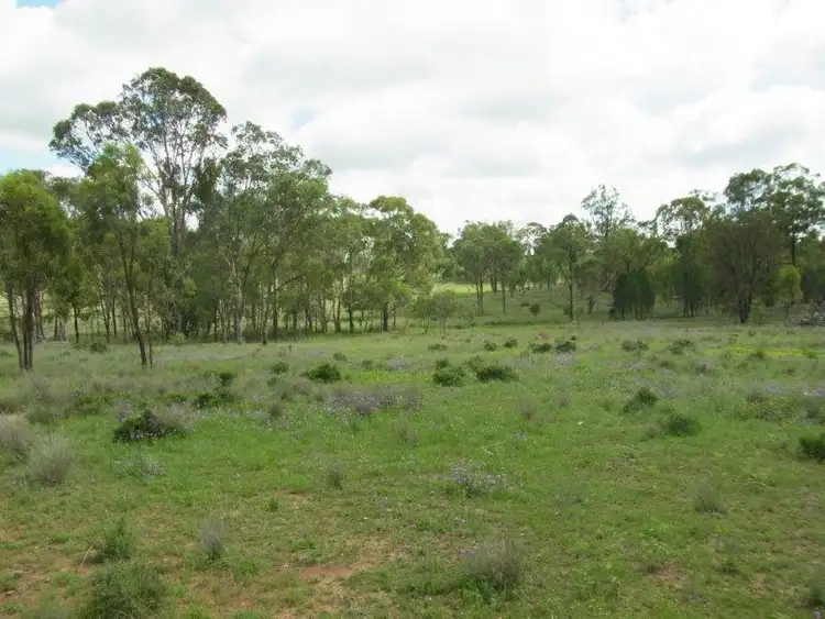 Fourth view of Homely rural property listing, 3380 Stonehenge Road, Millmerran QLD 4357