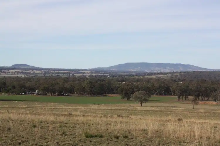 Seventh view of Homely rural property listing, 199 Gamble Creek Road, Coolah NSW 2843