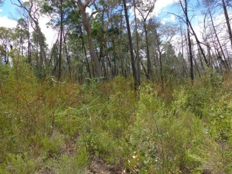 Third view of Homely rural property listing, Lot 4 Premer Road, Premer NSW 2381