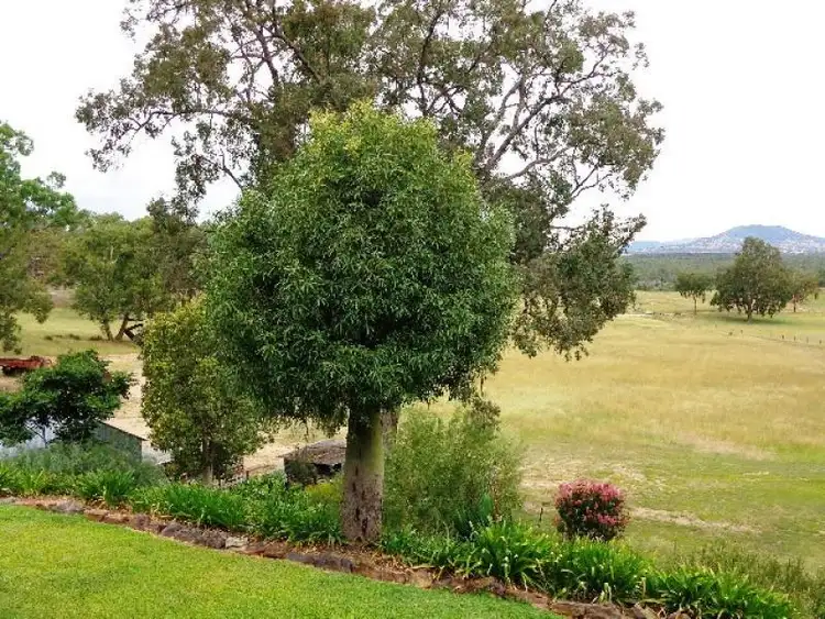 Seventh view of Homely rural property listing, Address available on request