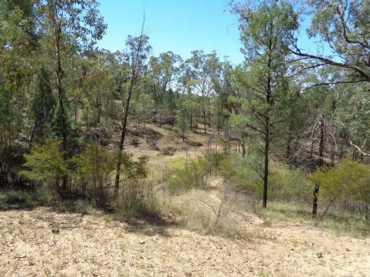 Seventh view of Homely rural property listing, 100-132 High Street, Tambar Springs NSW 2381