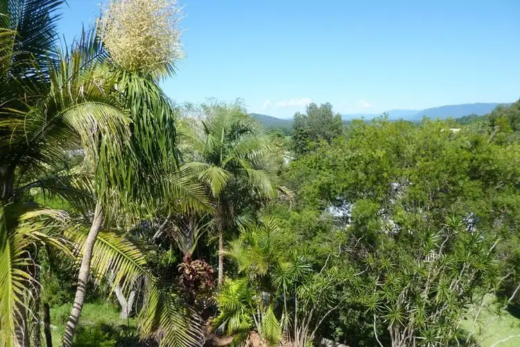 Second view of Homely house listing, 11 Sky Place, Bellingen NSW 2454