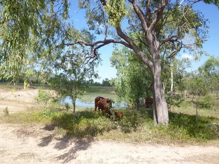Second view of Homely rural property listing, Lot 4 Ryans Road, Reid River QLD 4816