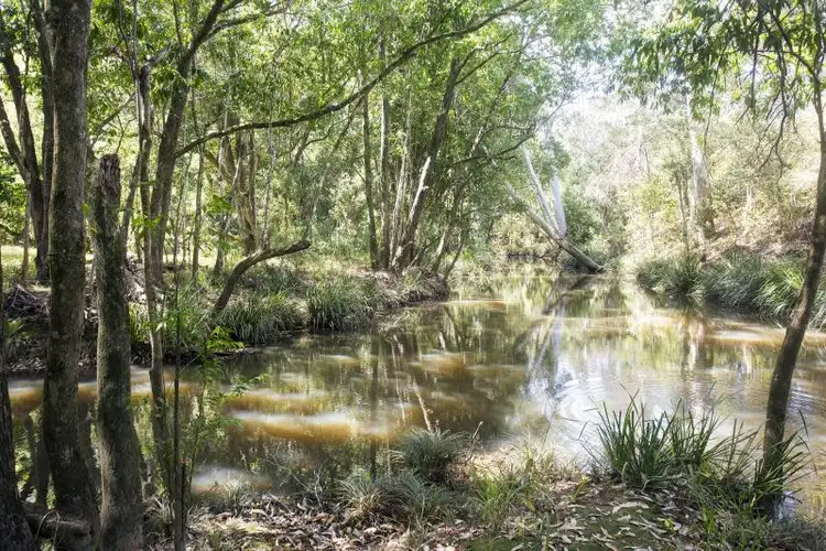 Third view of Homely rural property listing, 16 Mitchells Road, Valla NSW 2448