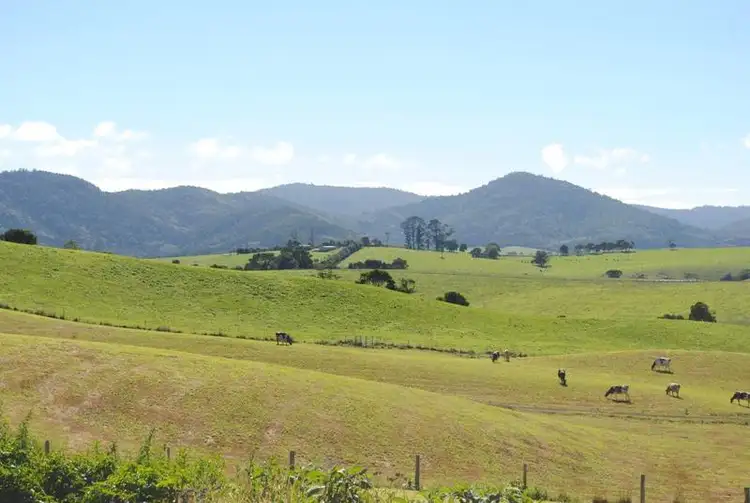Fourth view of Homely land listing, 5 Cofton Close, Dorrigo NSW 2453