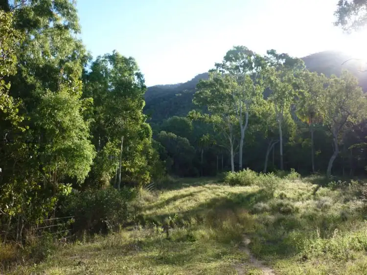 Seventh view of Homely rural property listing, 938 Woodstock Giru Road, Mount Surround QLD 4809