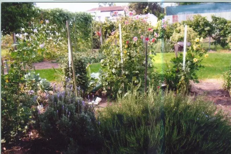 Fifth view of Homely house listing, 35 Booyamurra Street, Coolah NSW 2843