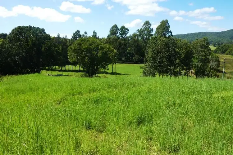 347 Northbank  Road, Bellingen NSW 2454