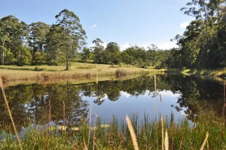 Fourth view of Homely rural property listing, 65 Little Tamban Road, Eungai Creek NSW 2441