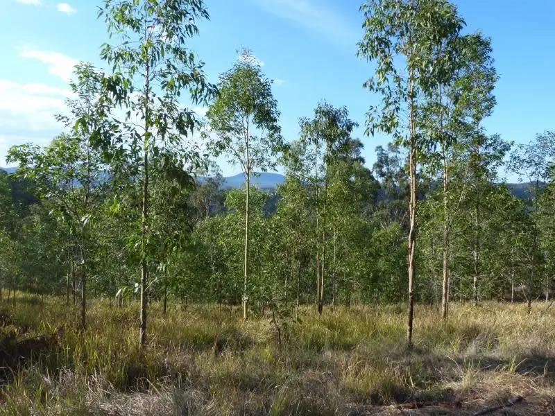 Main view of Homely land listing, Address available on request