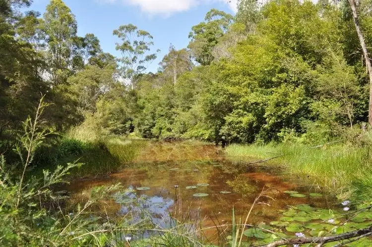 Fourth view of Homely rural property listing, 71 Eungai Creek Road, Eungai Creek NSW 2441