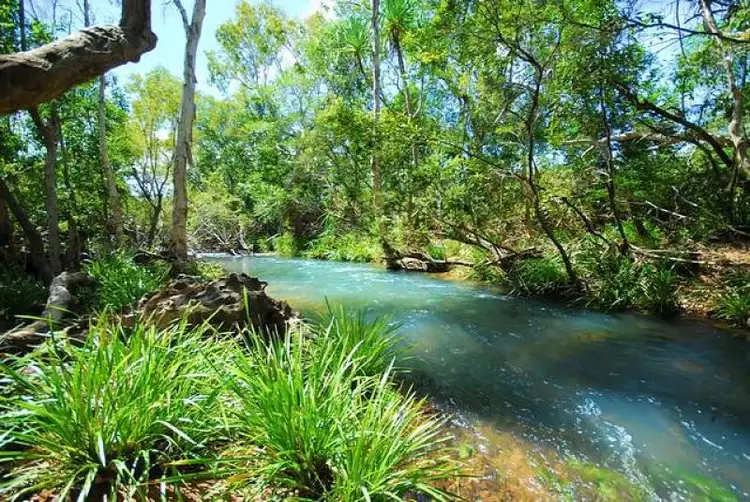 Second view of Homely house listing, 276 Forestry  Road, Bluewater QLD 4818
