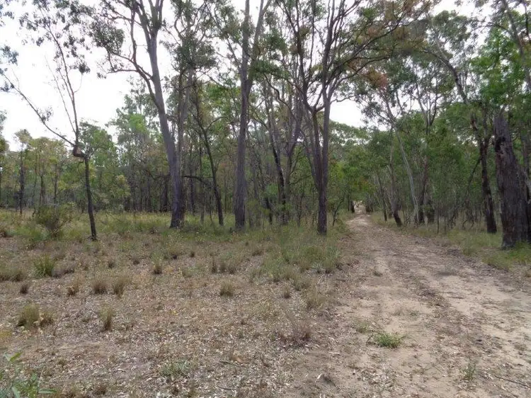 Main view of Homely rural property listing, 125 Tilly Willy Road, Coolah NSW 2843