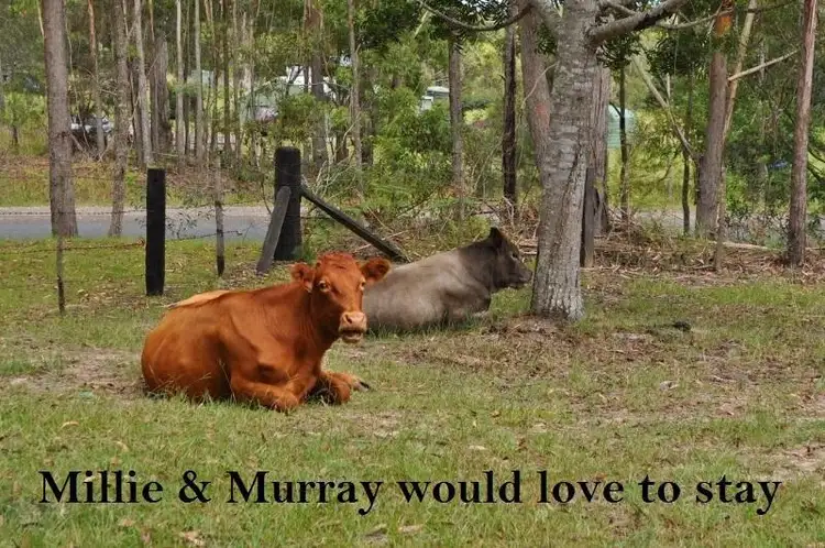 Second view of Homely rural property listing, 71 Eungai Creek Road, Eungai Creek NSW 2441