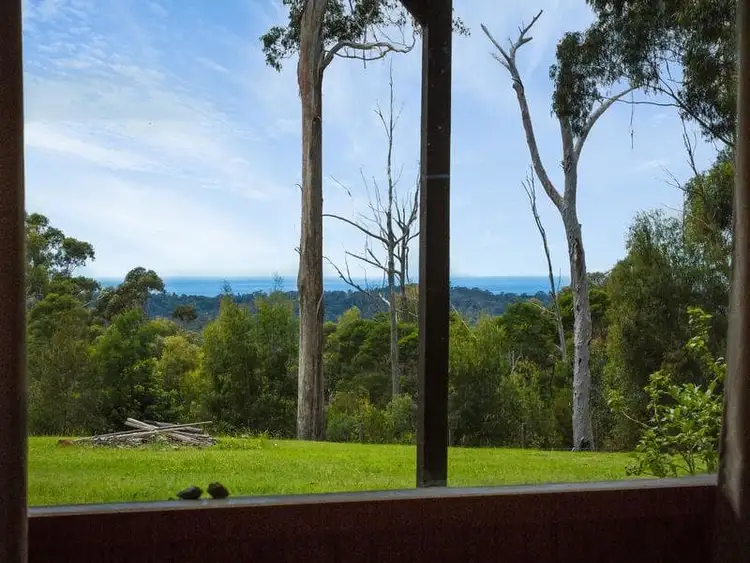 Third view of Homely rural property listing, 730 Mumbulla Creek Road, Tanja NSW 2550