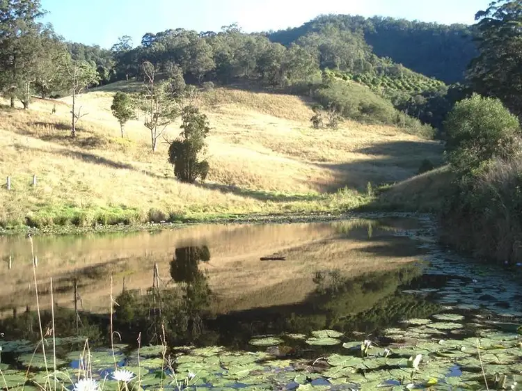 121 Higginbotham Road, Taylors Arm NSW 2447
