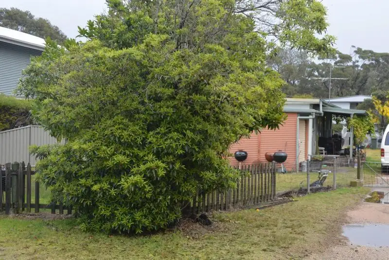 Main view of Homely house listing, 7 Massey Street, Broulee NSW 2537