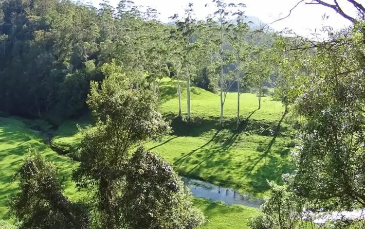 3098 North Arm Road, Bowraville NSW 2449