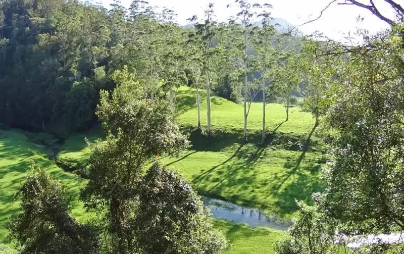 Main view of Homely rural property listing, 3098 North Arm Road, Bowraville NSW 2449