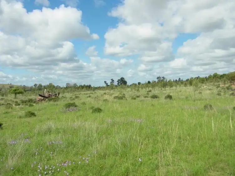 Seventh view of Homely rural property listing, 3380 Stonehenge  Road, Millmerran QLD 4357