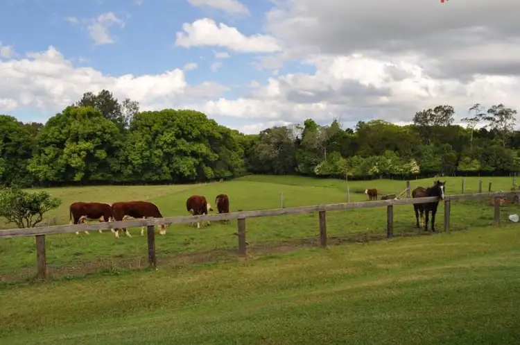 Fifth view of Homely rural property listing, 32 North Arm Road, Bowraville NSW 2449