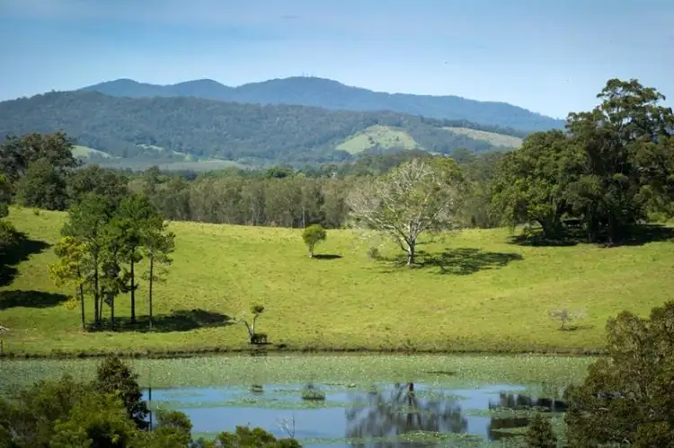 Main view of Homely house listing, 157 Florence Wilmont Drive, Nambucca Heads NSW 2448