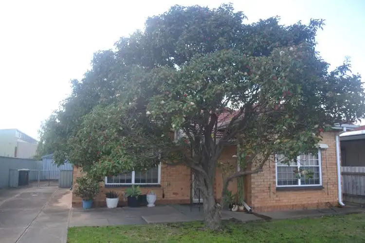 Fifth view of Homely house listing, 4 Ford Street, Ottoway SA 5013