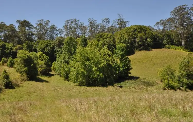 Second view of Homely rural property listing, 427 North Arm Road, Bowraville NSW 2449