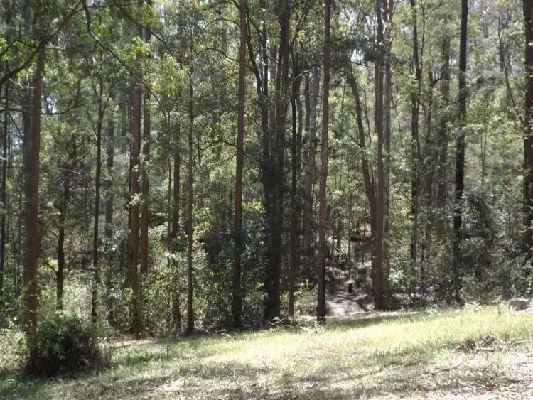 Fourth view of Homely house listing, 398 Congarinni Rd South, Macksville NSW 2447