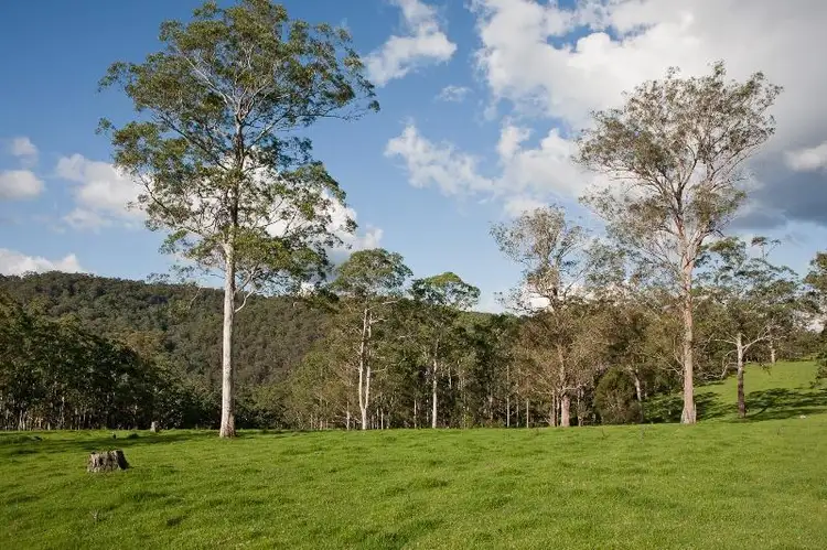Main view of Homely rural property listing, Tyringham, Tyringham NSW 2453