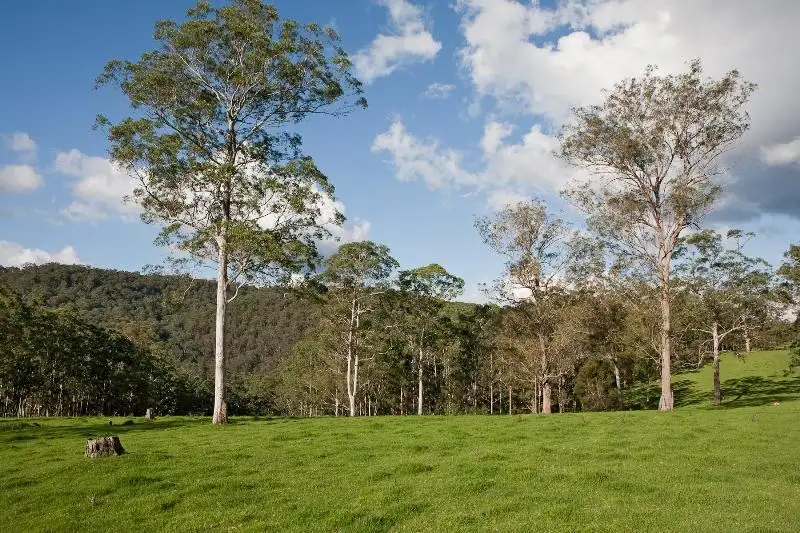 Main view of Homely rural property listing, Tyringham, Tyringham NSW 2453