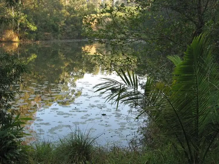 Fifth view of Homely rural property listing, Lot 43 Mighell Road, Yarrahapinni NSW 2441