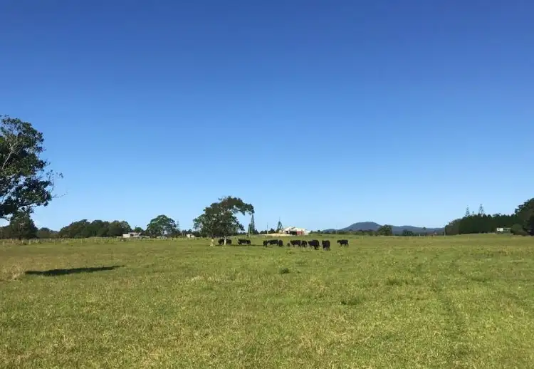 Fifth view of Homely rural property listing, 73 Champions  Lane, Macksville NSW 2447