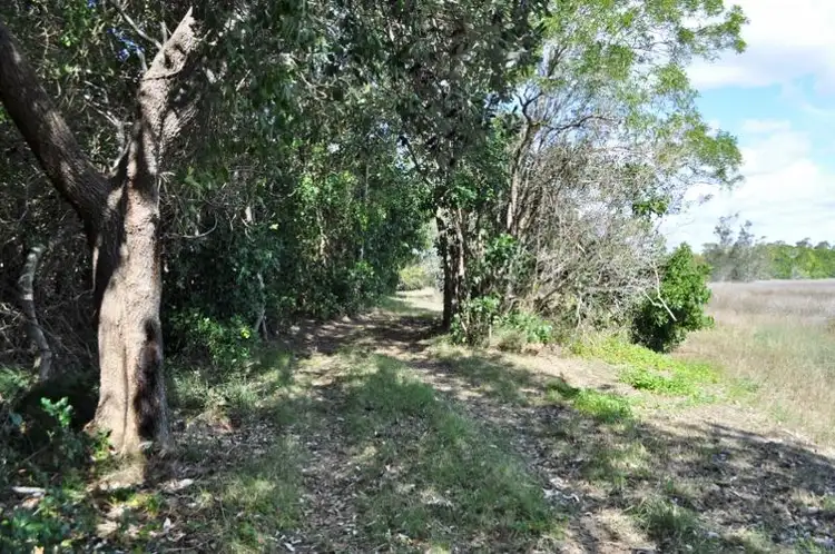 Seventh view of Homely rural property listing, 325 Fishermans Reach Road, Fishermans Reach NSW 2441